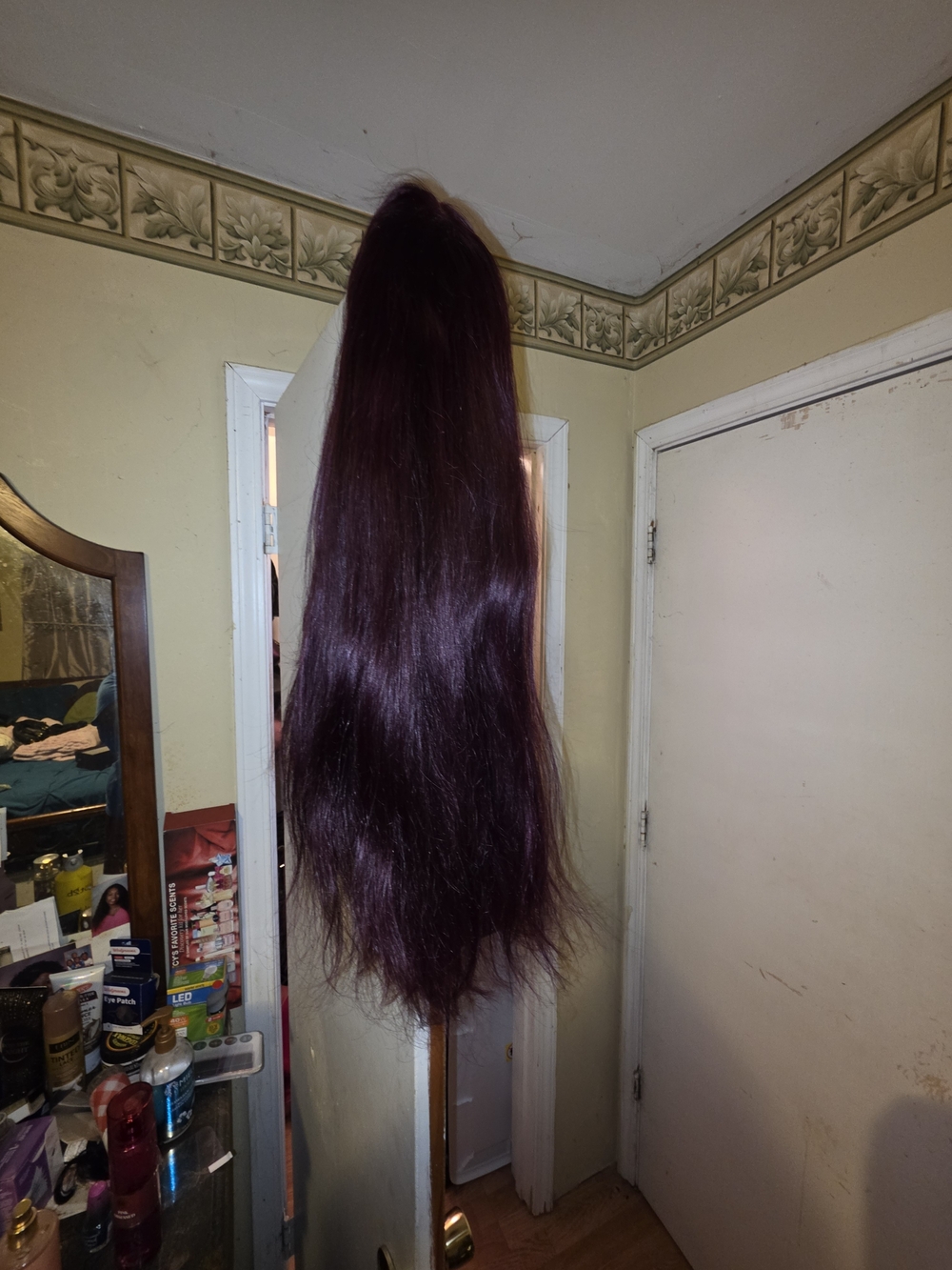 Long Straight Women's Wig in Deep Burgundy